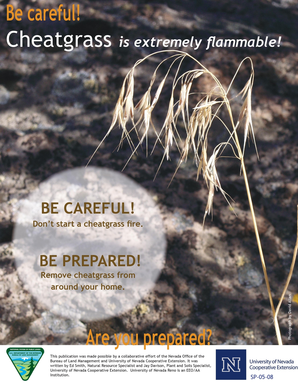 The Official Website of Platte County Wyoming Cheatgrass The Official Website of Platte County Wyoming Cheatgrass